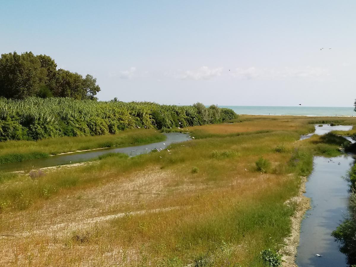 Residenza Corso Baccio Lägenhet SantʼElpidio a Mare Exteriör bild