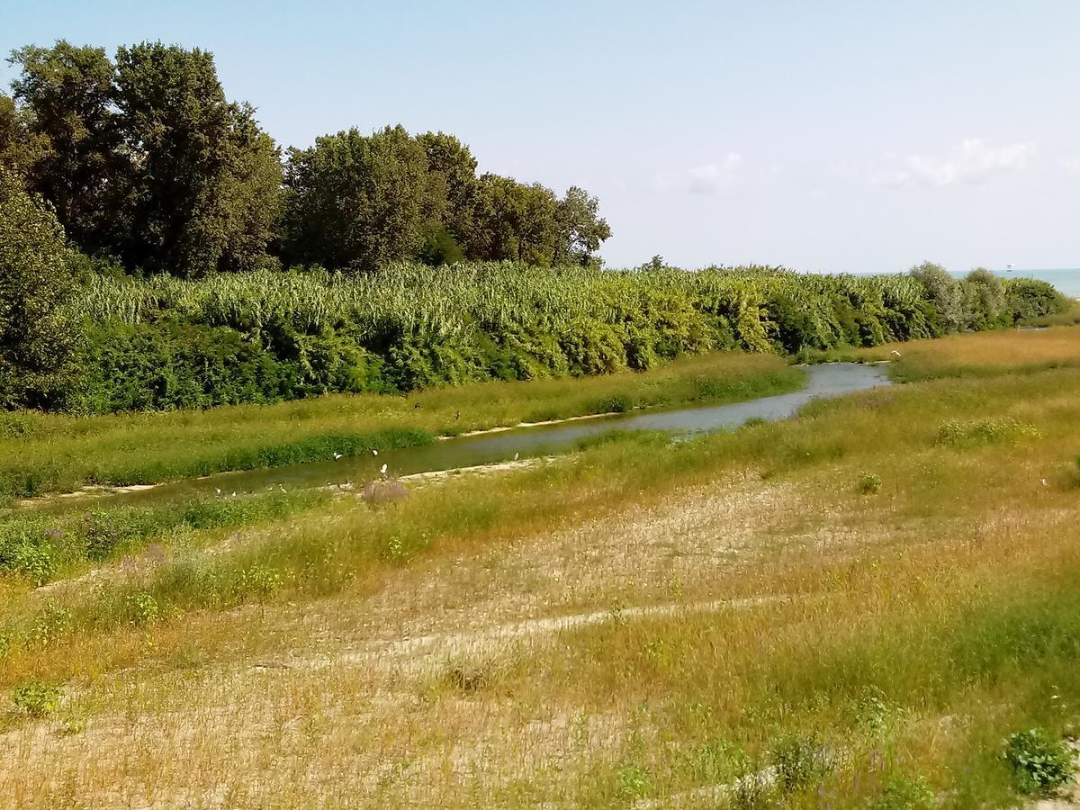 Residenza Corso Baccio Lägenhet SantʼElpidio a Mare Exteriör bild